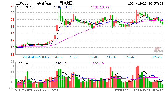 赛意信息