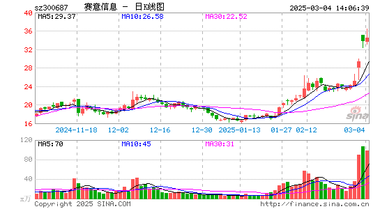 赛意信息