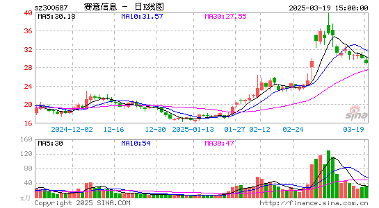 赛意信息