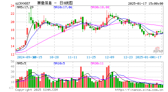 赛意信息