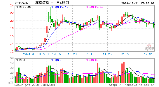 赛意信息