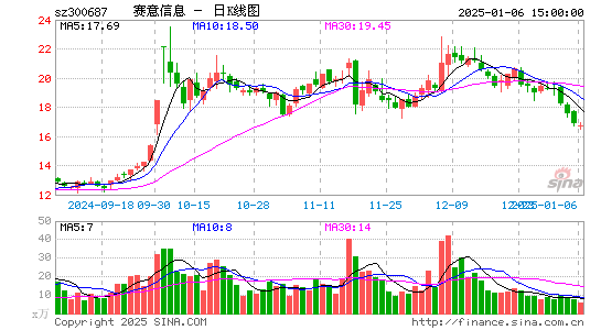 赛意信息