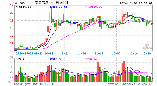 赛意信息