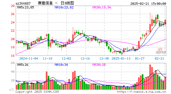 赛意信息