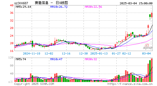 赛意信息