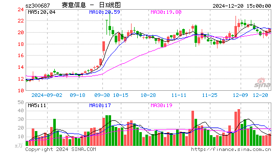 赛意信息