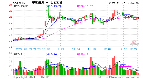 赛意信息