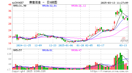 赛意信息