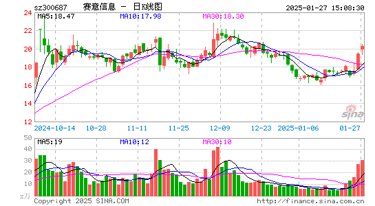 赛意信息