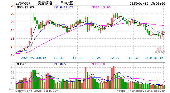 赛意信息