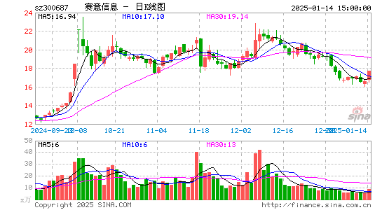 赛意信息