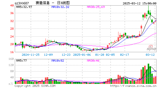 赛意信息