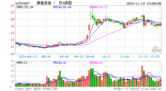 赛意信息