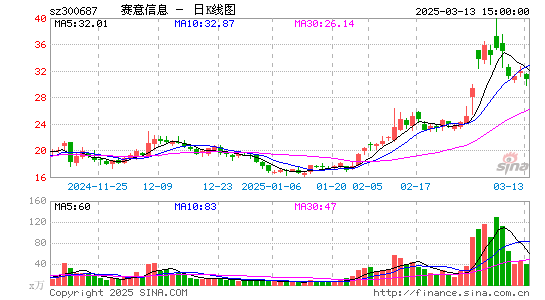 赛意信息