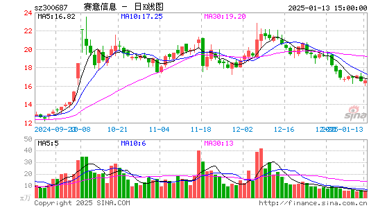 赛意信息