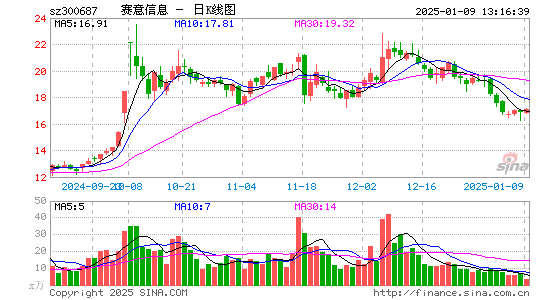 赛意信息