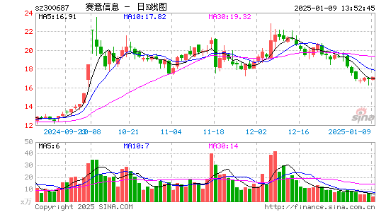 赛意信息