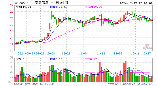 赛意信息