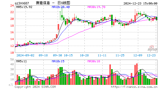 赛意信息