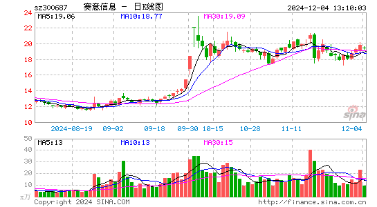 赛意信息