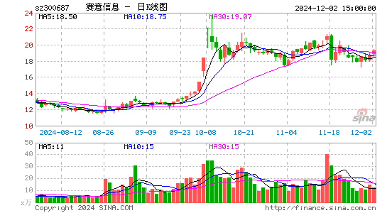 赛意信息