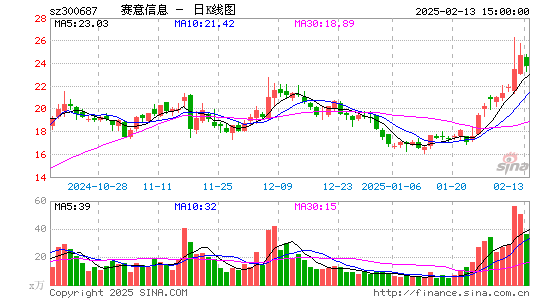 赛意信息