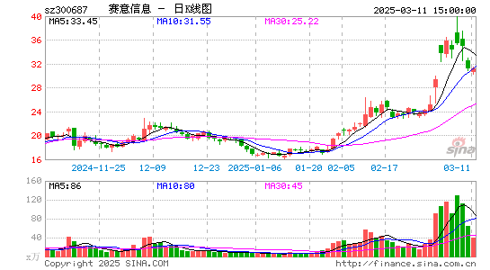 赛意信息