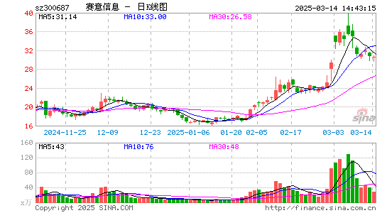 赛意信息