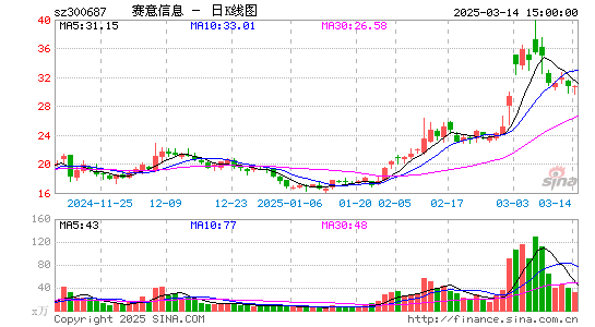 赛意信息