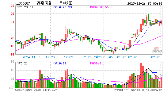 赛意信息