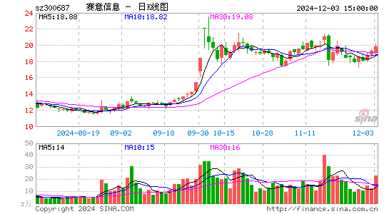 赛意信息