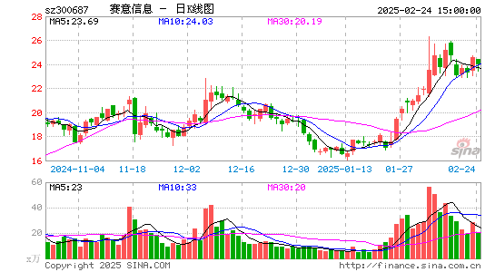 赛意信息