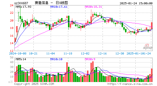 赛意信息