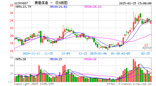 赛意信息