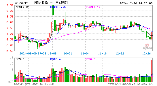 凯伦股份