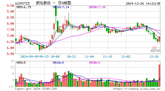 凯伦股份