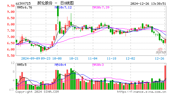 凯伦股份