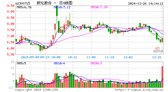 凯伦股份