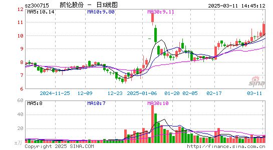 凯伦股份