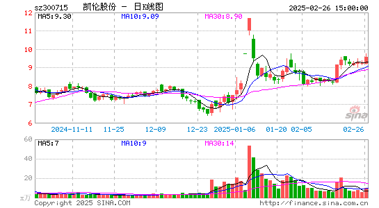 凯伦股份