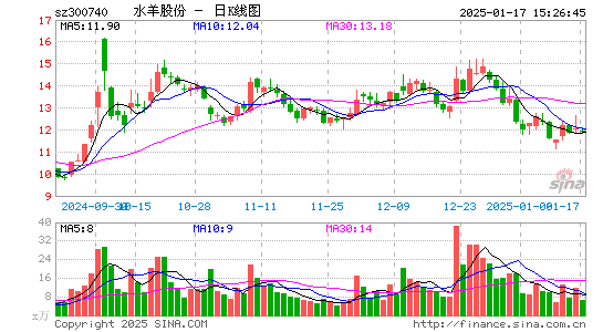 水羊股份