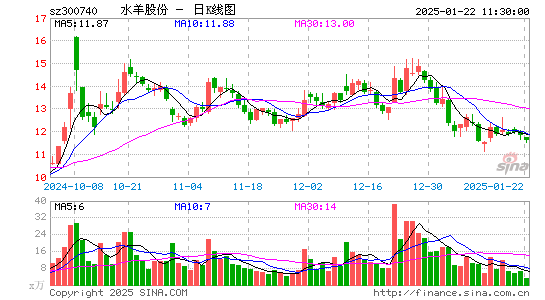 水羊股份