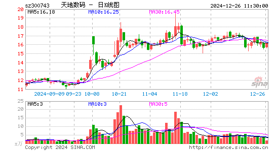 天地数码