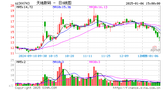 天地数码