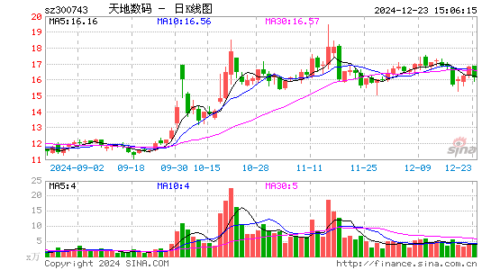 天地数码