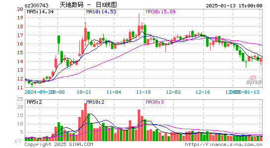 天地数码