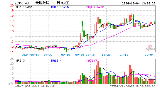 天地数码