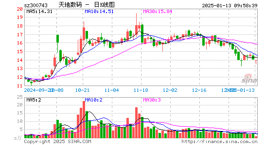 天地数码