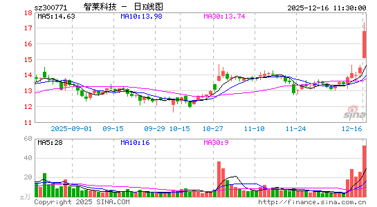 �����Ƽ�