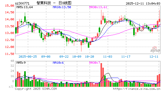 �����Ƽ�